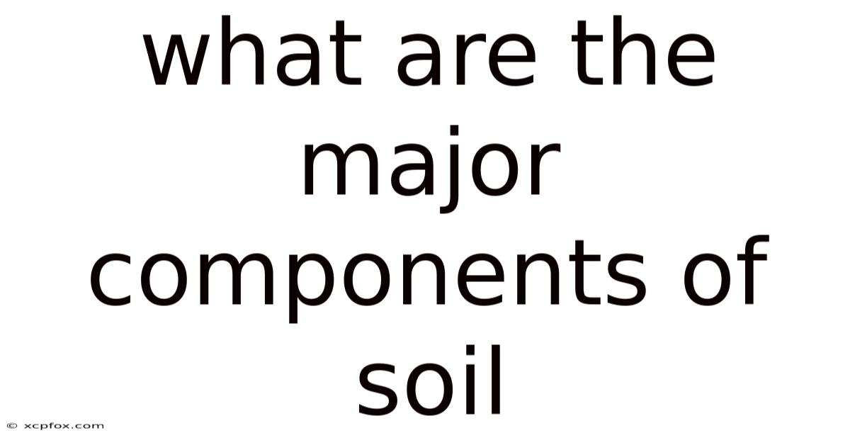 What Are The Major Components Of Soil