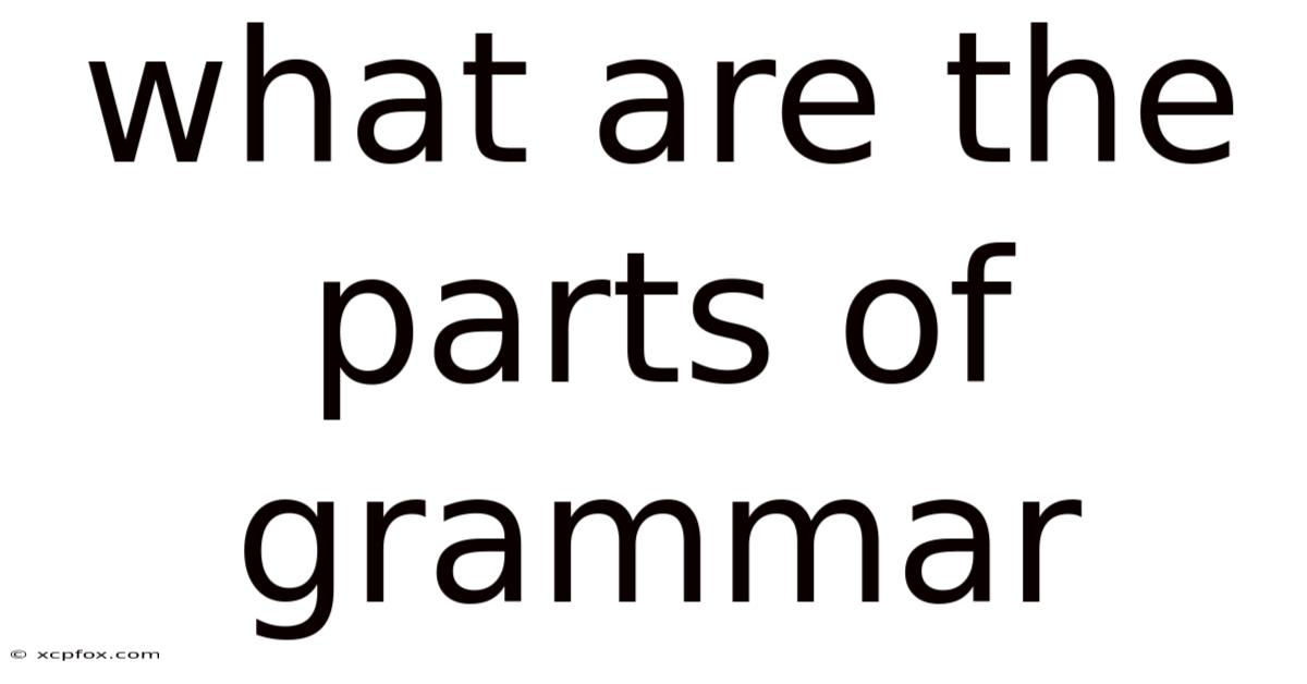 What Are The Parts Of Grammar