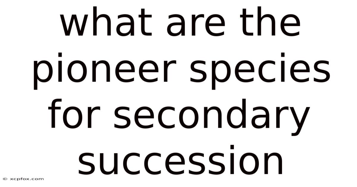 What Are The Pioneer Species For Secondary Succession