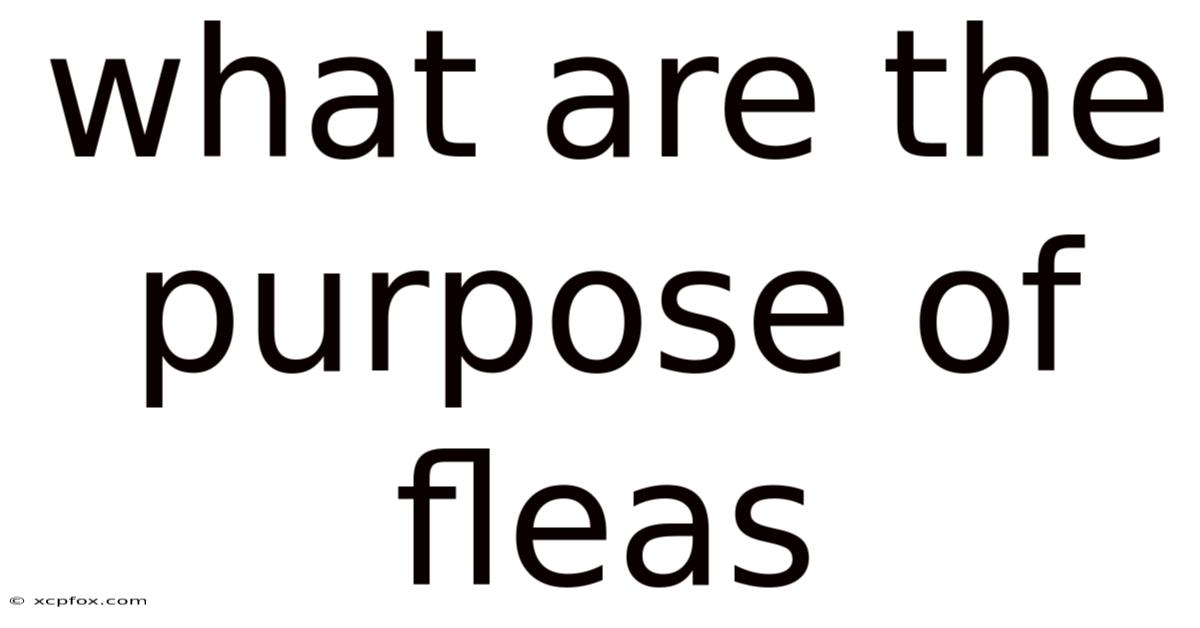 What Are The Purpose Of Fleas
