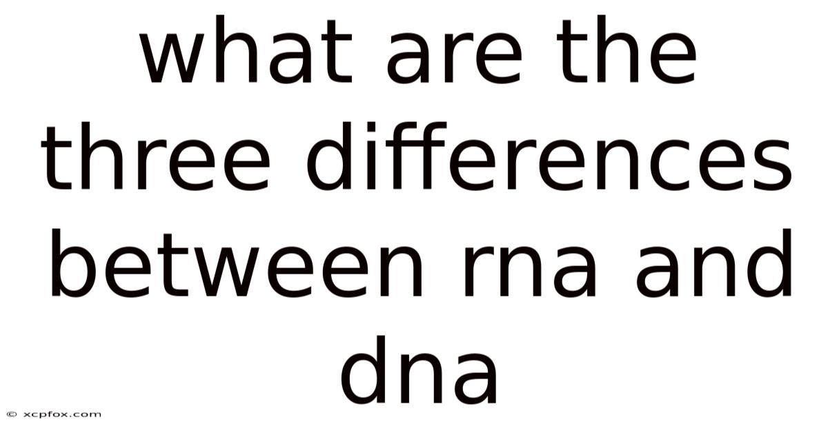 What Are The Three Differences Between Rna And Dna