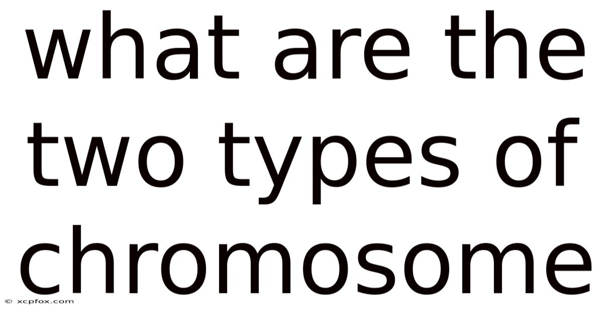 What Are The Two Types Of Chromosome
