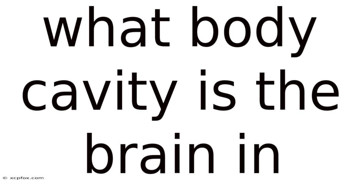 What Body Cavity Is The Brain In