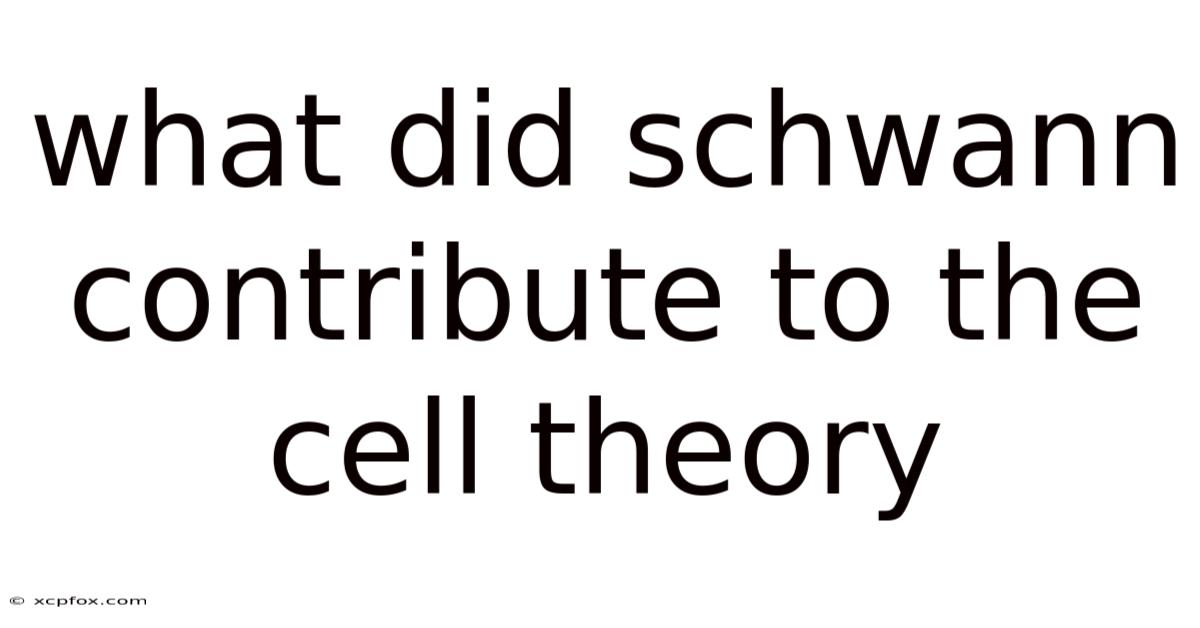 What Did Schwann Contribute To The Cell Theory