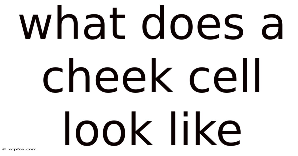 What Does A Cheek Cell Look Like