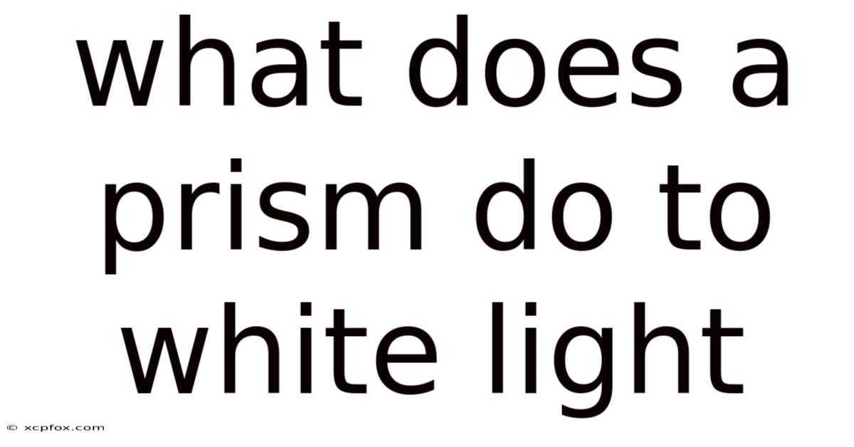 What Does A Prism Do To White Light