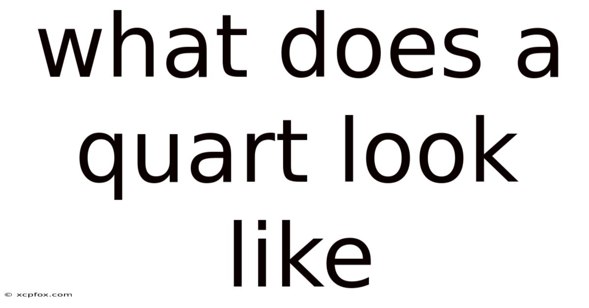What Does A Quart Look Like