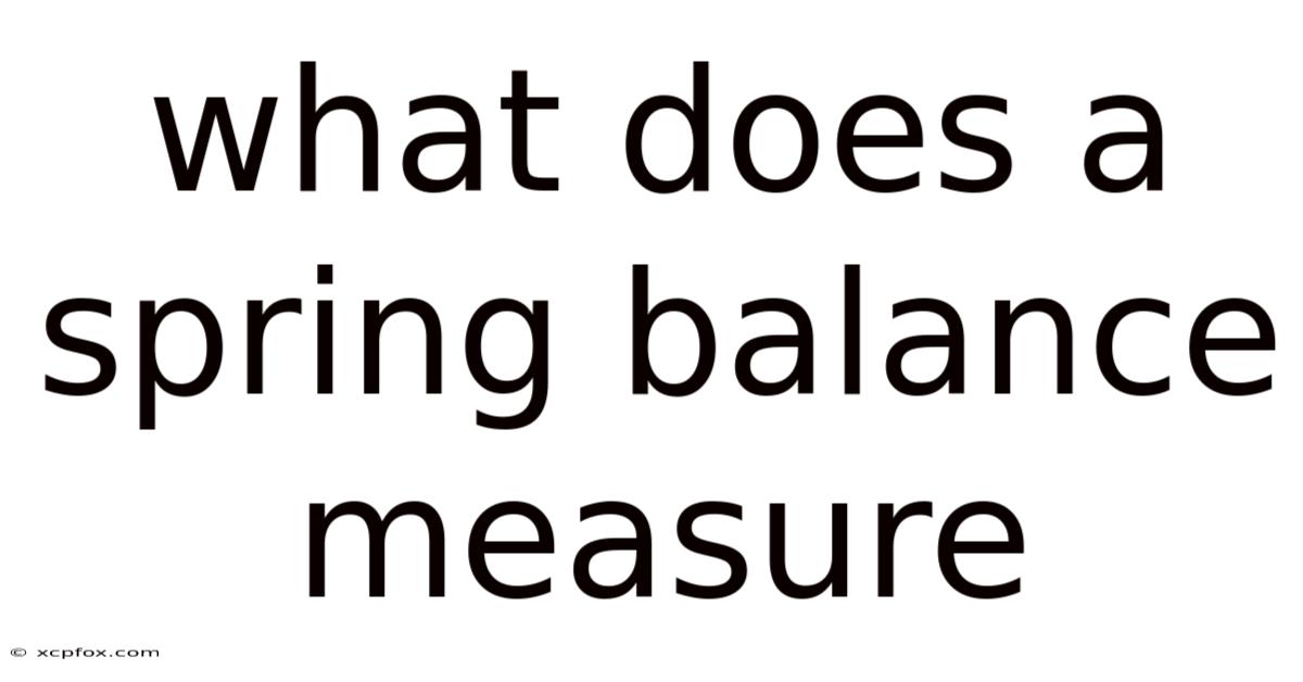 What Does A Spring Balance Measure