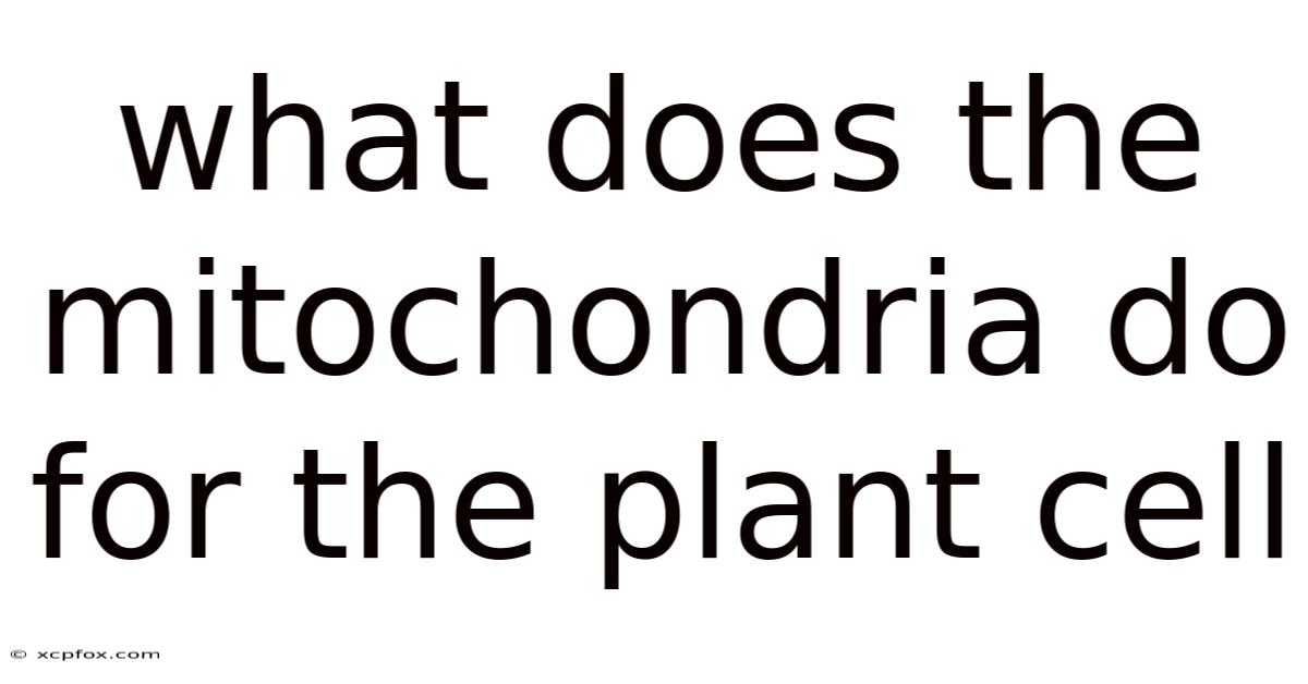 What Does The Mitochondria Do For The Plant Cell