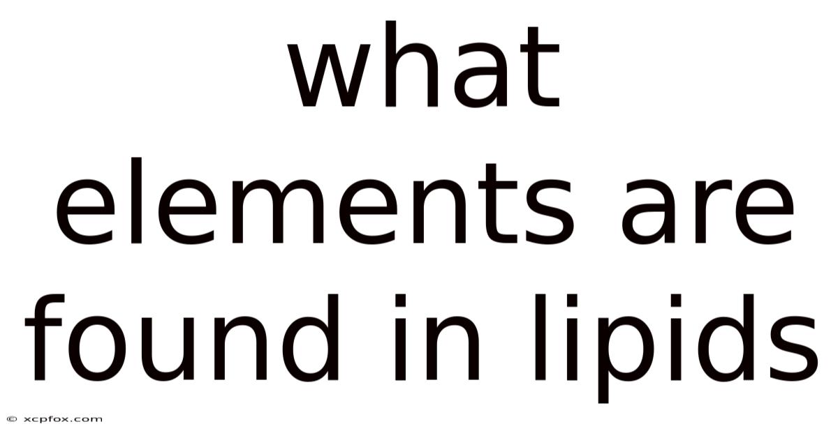 What Elements Are Found In Lipids