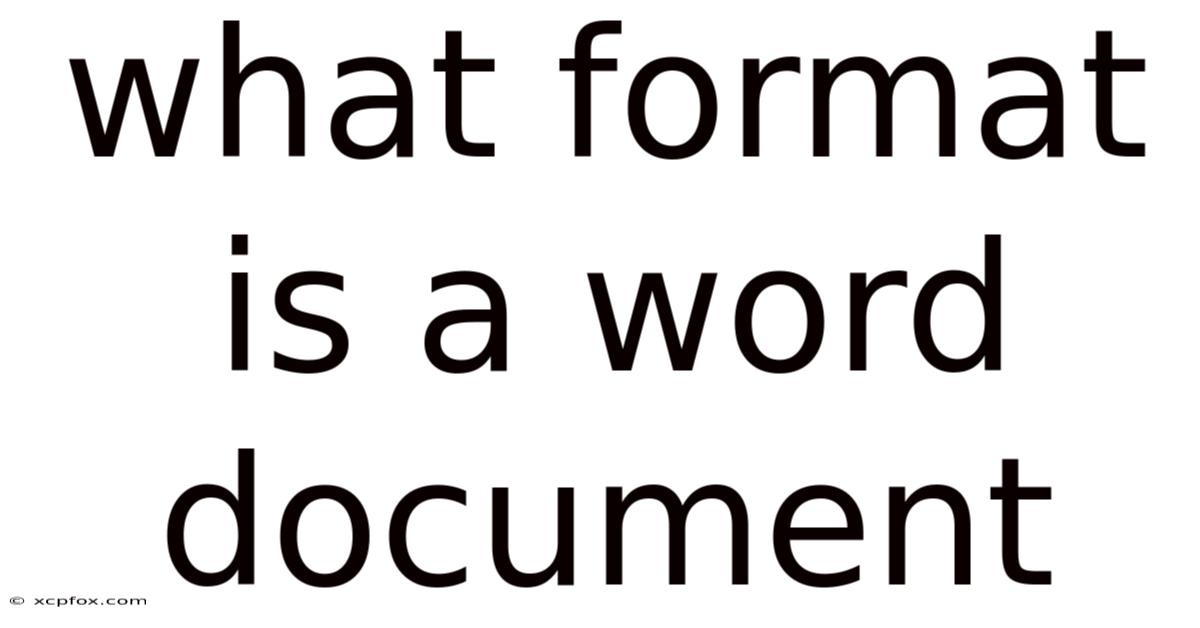 What Format Is A Word Document