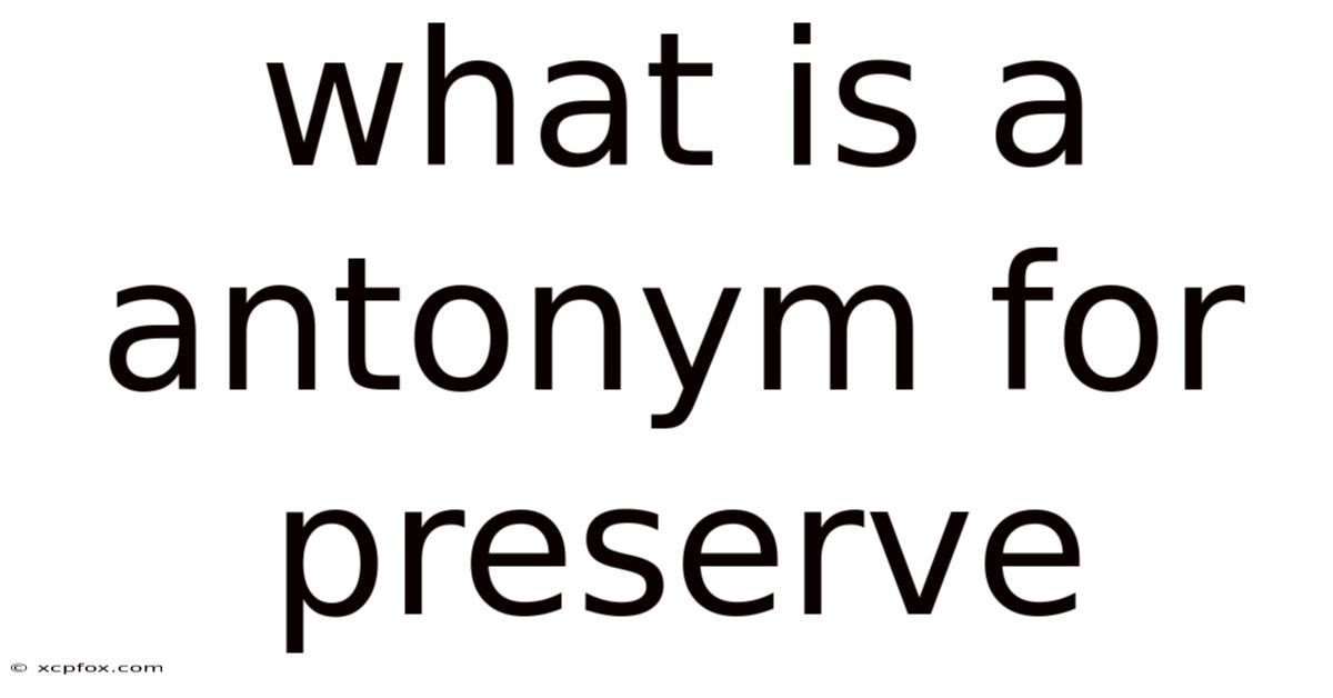 What Is A Antonym For Preserve