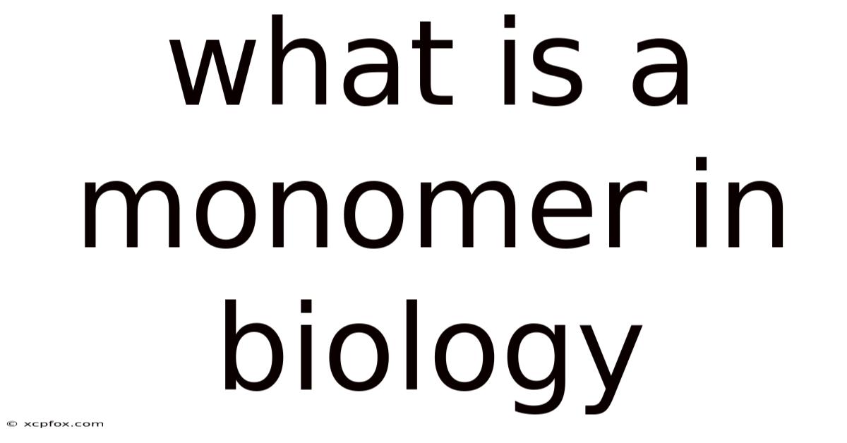 What Is A Monomer In Biology