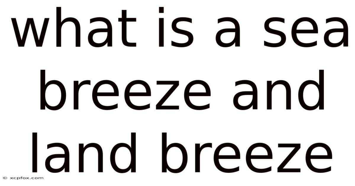 What Is A Sea Breeze And Land Breeze