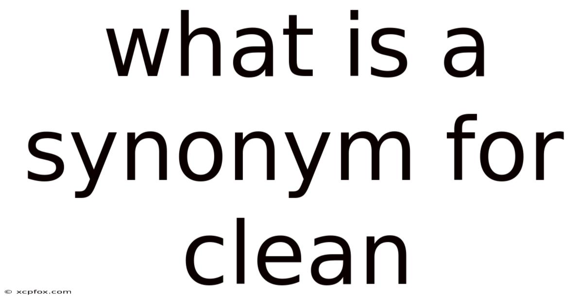 What Is A Synonym For Clean