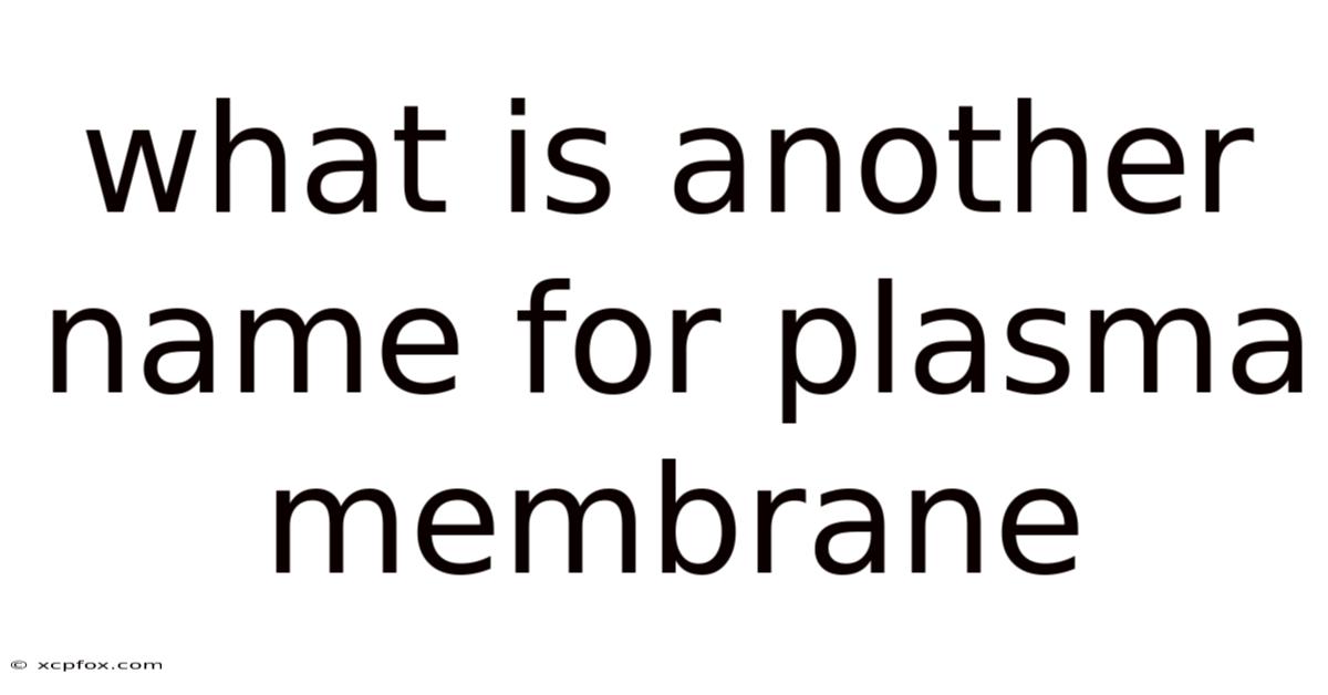 What Is Another Name For Plasma Membrane
