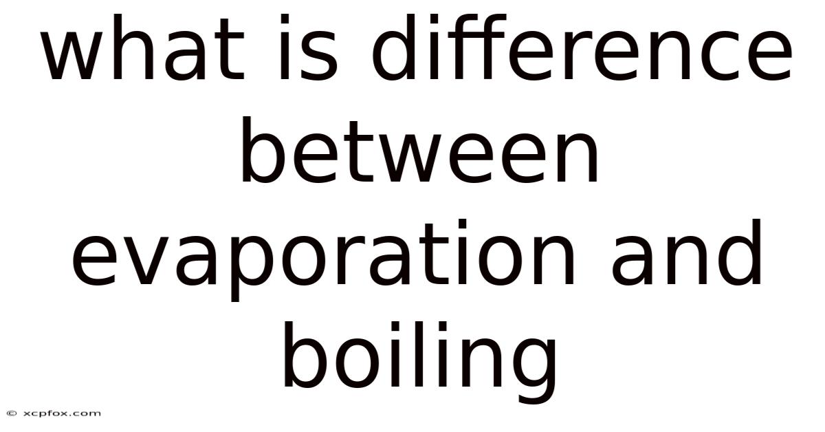 What Is Difference Between Evaporation And Boiling