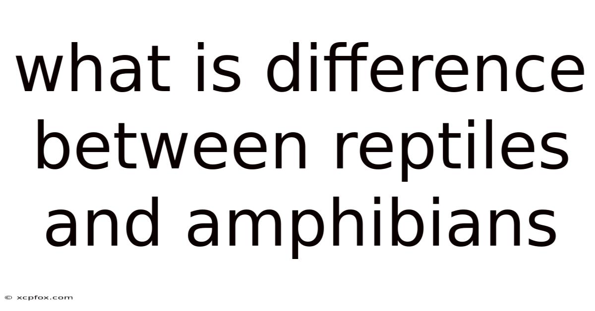 What Is Difference Between Reptiles And Amphibians