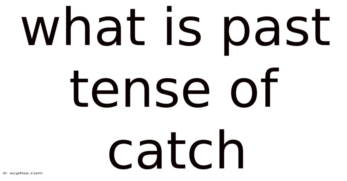 What Is Past Tense Of Catch