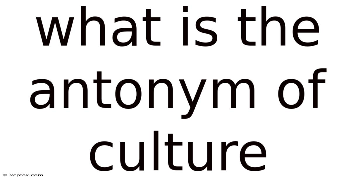 What Is The Antonym Of Culture