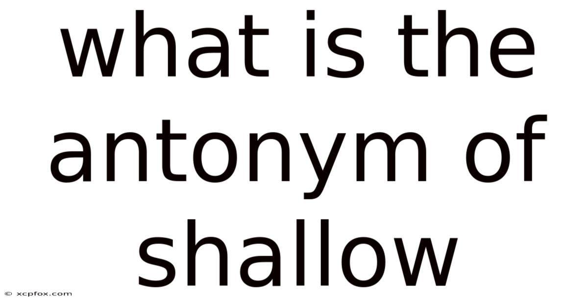 What Is The Antonym Of Shallow