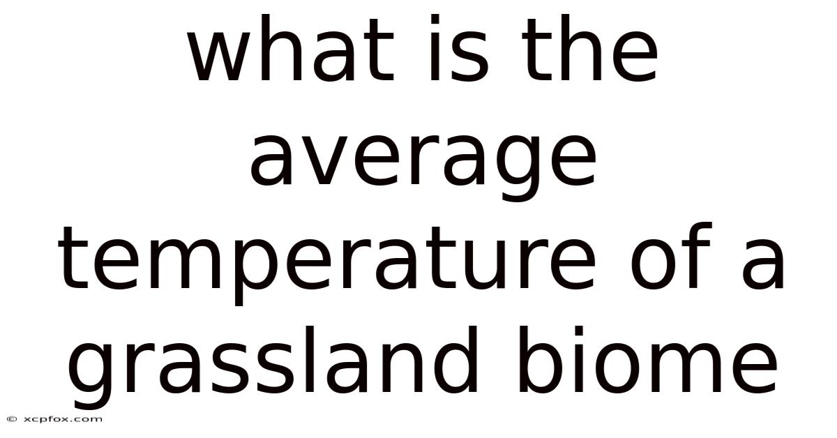What Is The Average Temperature Of A Grassland Biome