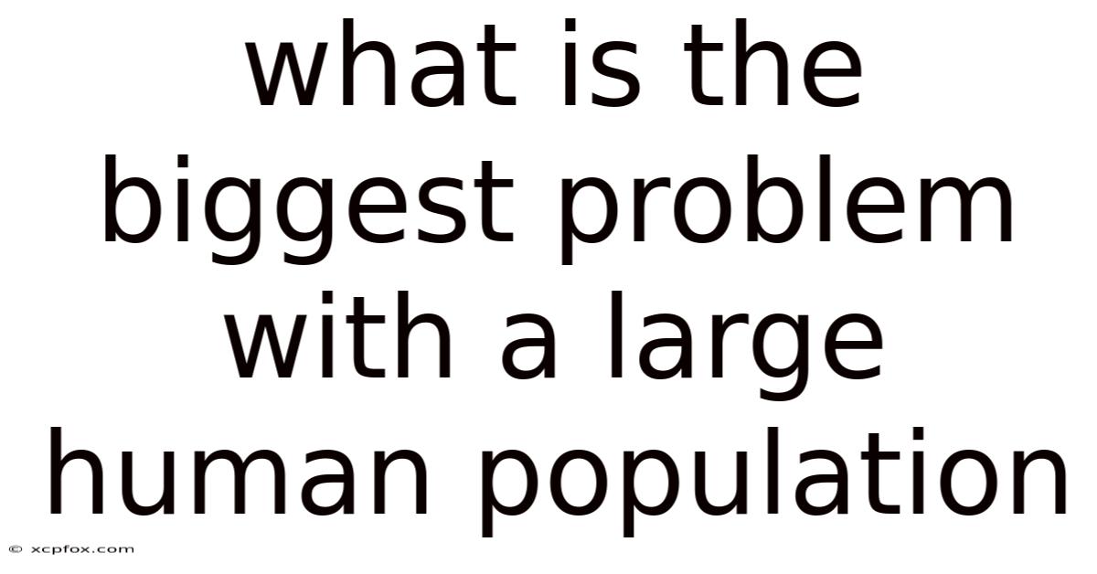 What Is The Biggest Problem With A Large Human Population