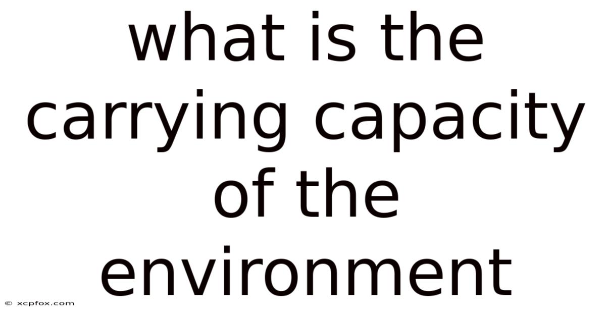 What Is The Carrying Capacity Of The Environment