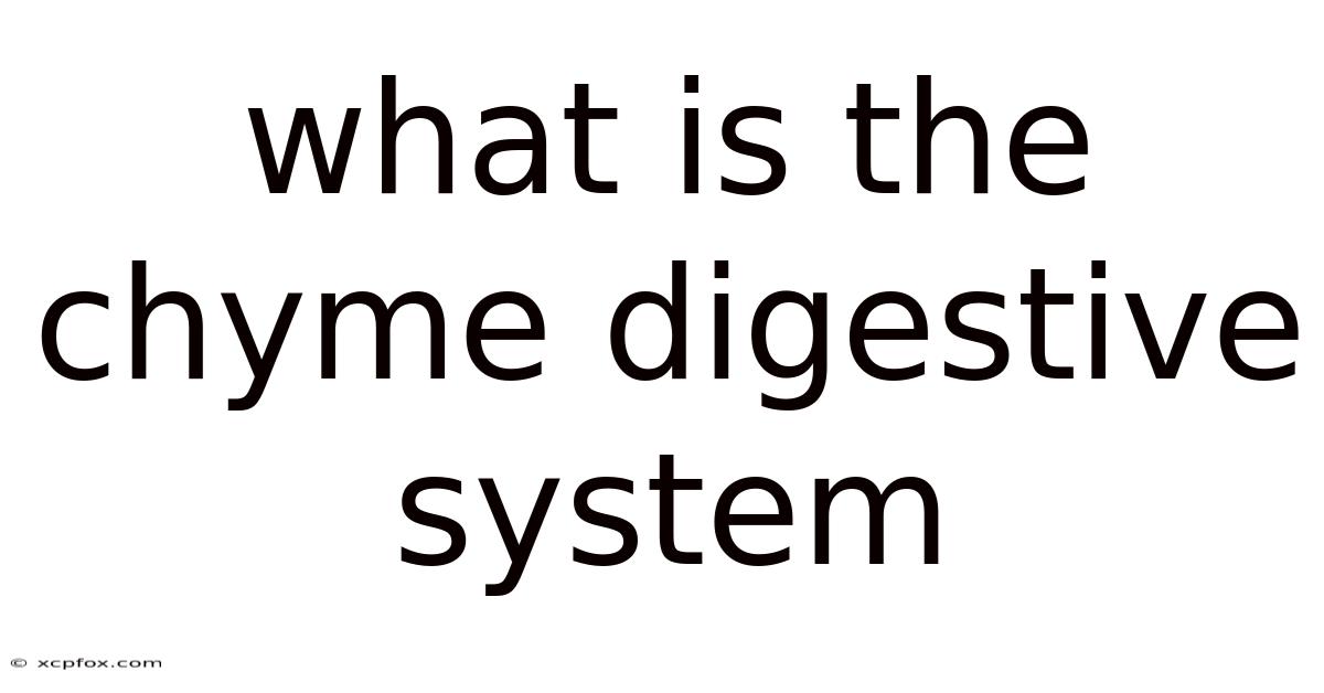 What Is The Chyme Digestive System