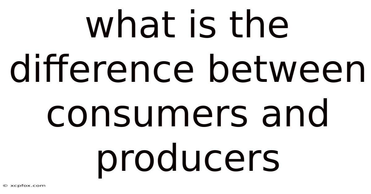 What Is The Difference Between Consumers And Producers