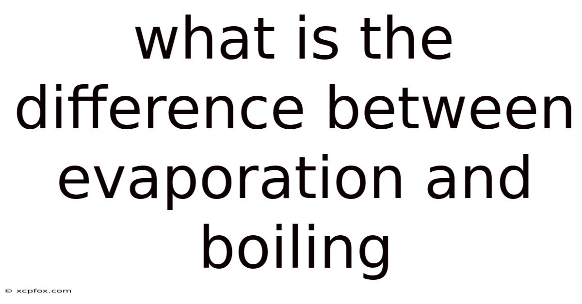 What Is The Difference Between Evaporation And Boiling