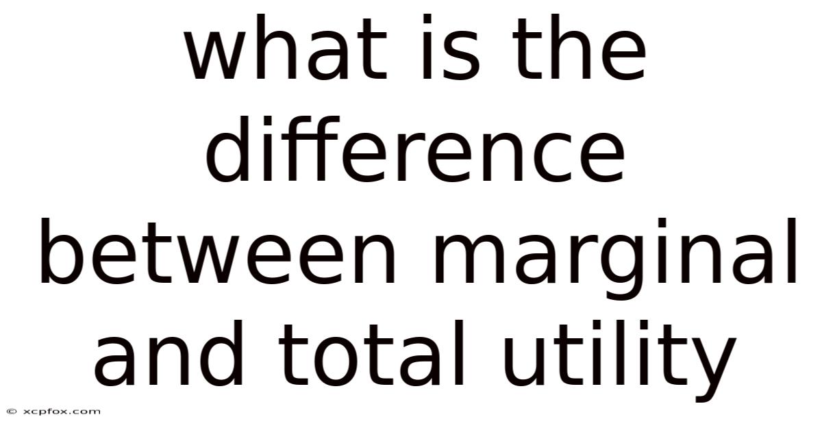 What Is The Difference Between Marginal And Total Utility