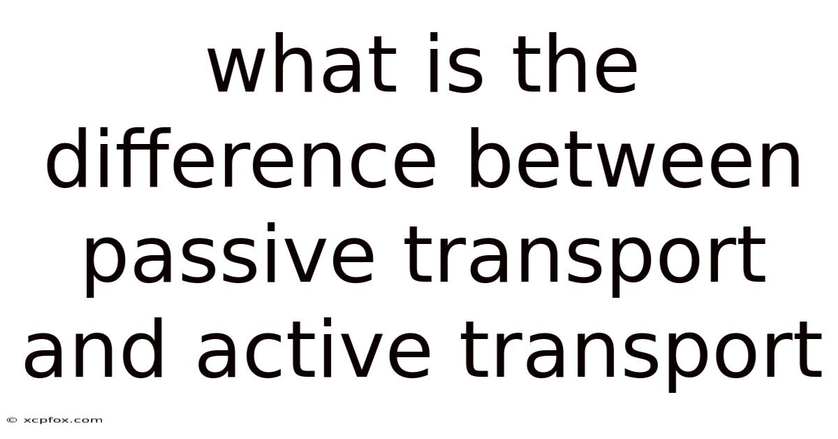 What Is The Difference Between Passive Transport And Active Transport