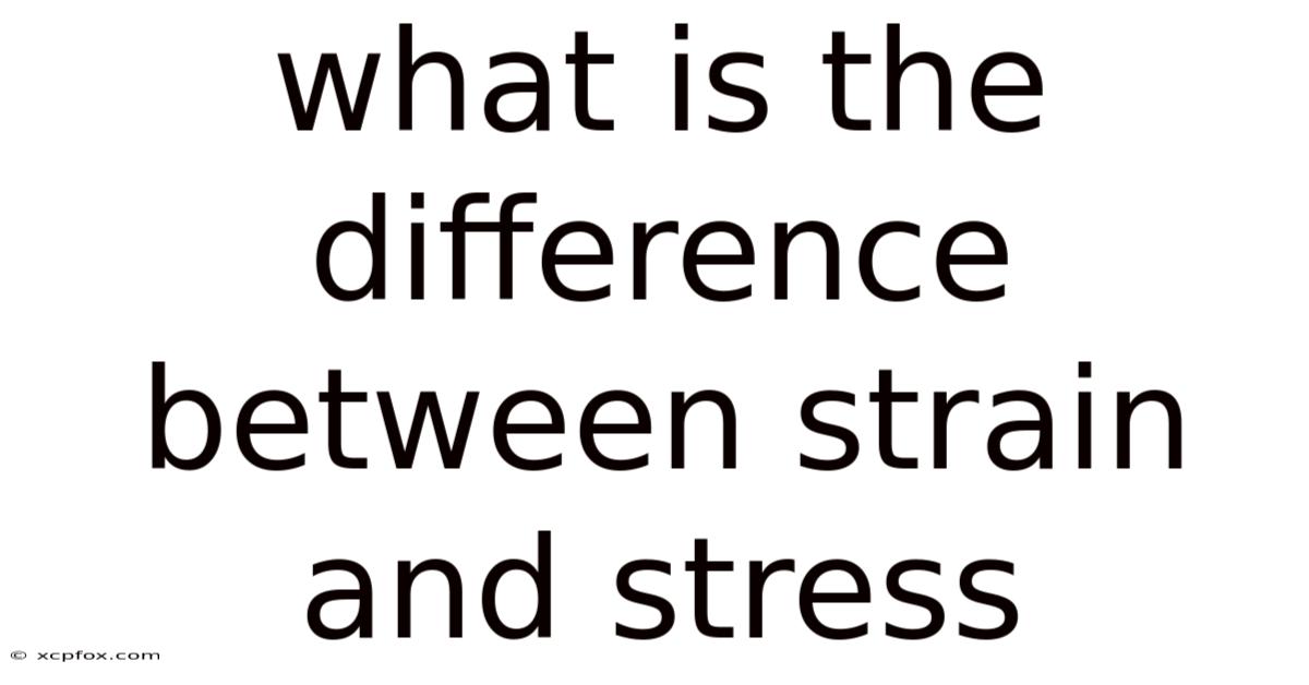 What Is The Difference Between Strain And Stress