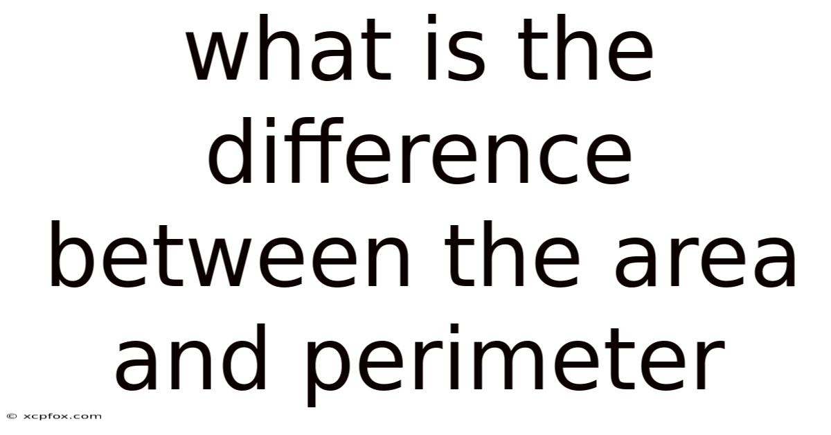 What Is The Difference Between The Area And Perimeter