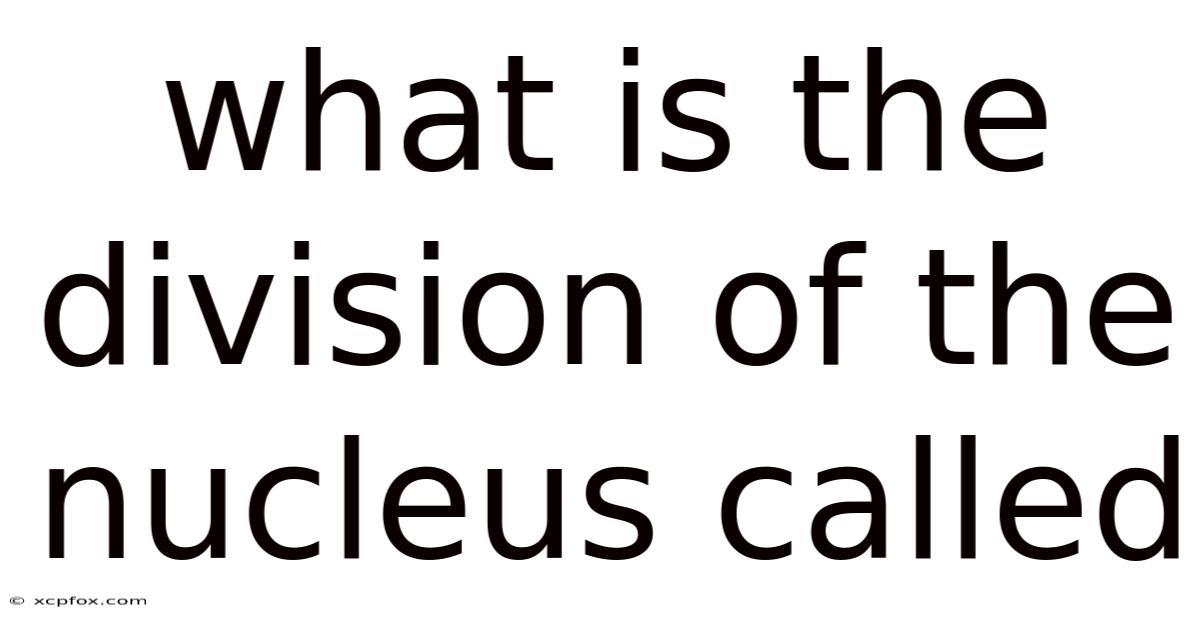 What Is The Division Of The Nucleus Called