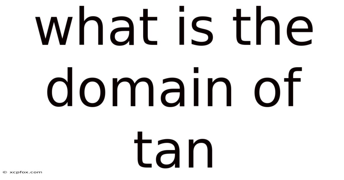 What Is The Domain Of Tan
