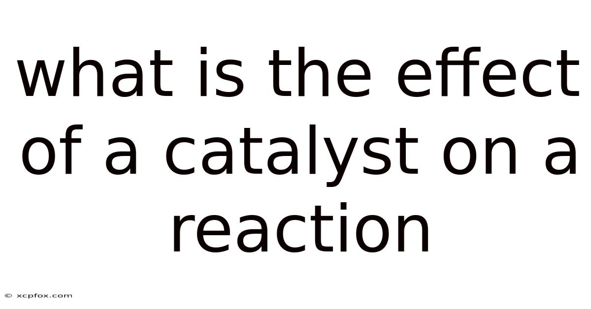 What Is The Effect Of A Catalyst On A Reaction