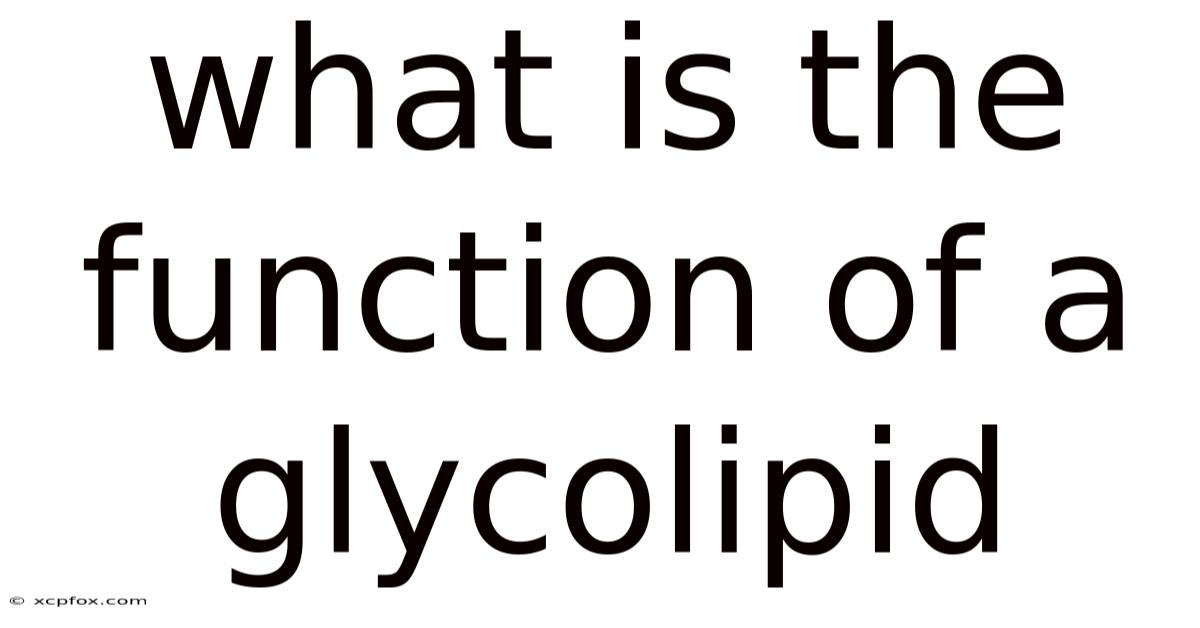 What Is The Function Of A Glycolipid