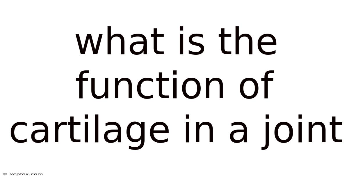 What Is The Function Of Cartilage In A Joint
