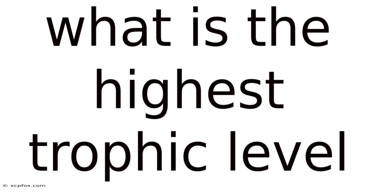 What Is The Highest Trophic Level