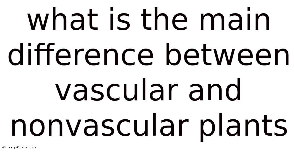 What Is The Main Difference Between Vascular And Nonvascular Plants