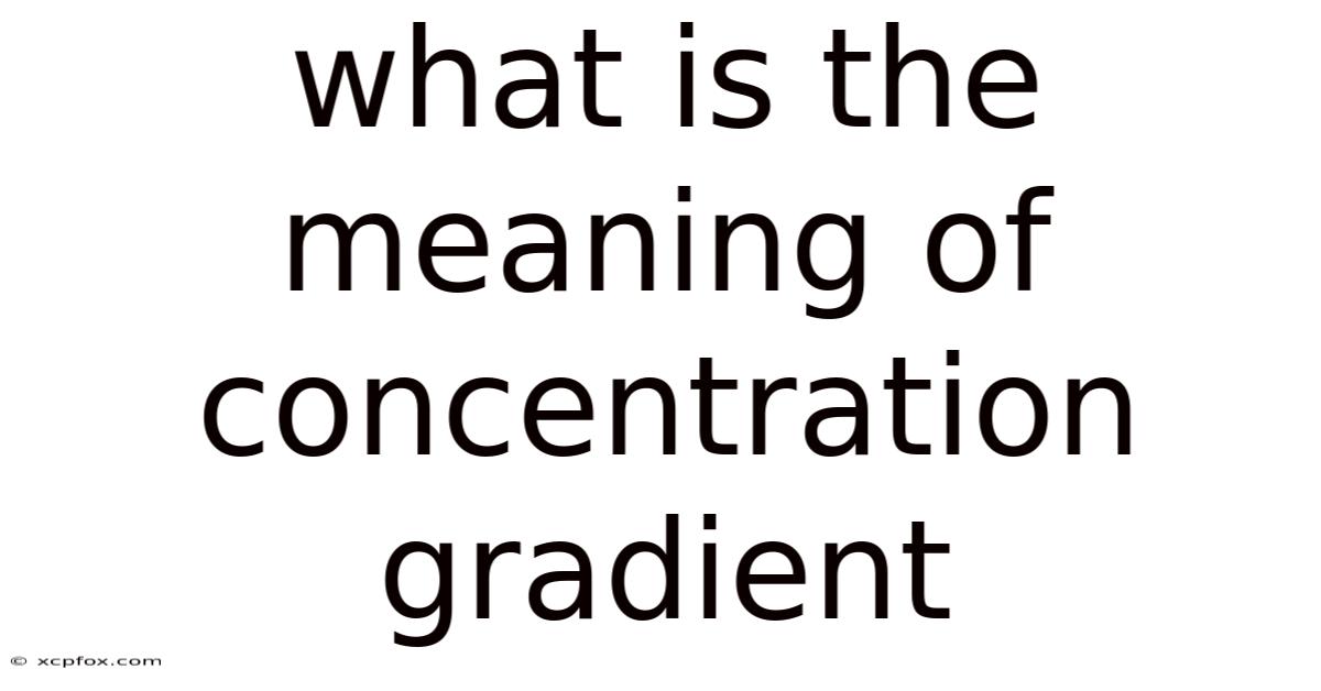 What Is The Meaning Of Concentration Gradient