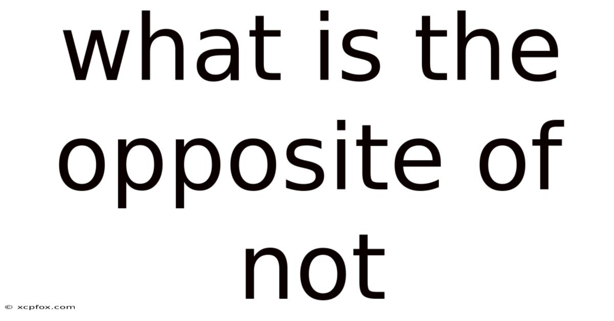What Is The Opposite Of Not