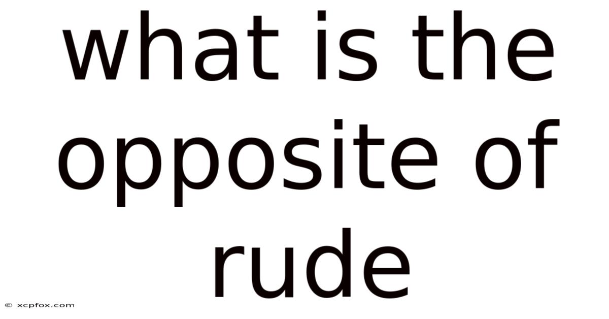 What Is The Opposite Of Rude