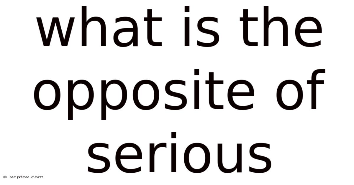 What Is The Opposite Of Serious