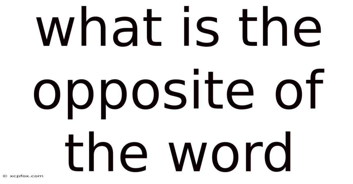 What Is The Opposite Of The Word