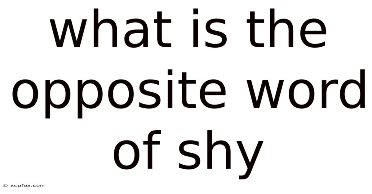 What Is The Opposite Word Of Shy