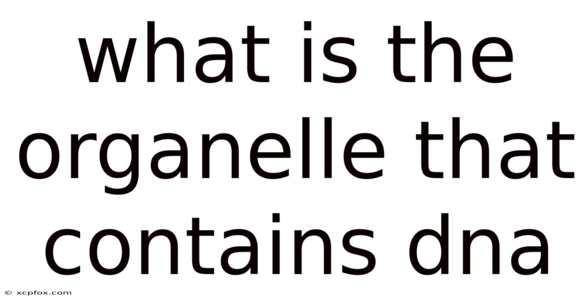 What Is The Organelle That Contains Dna