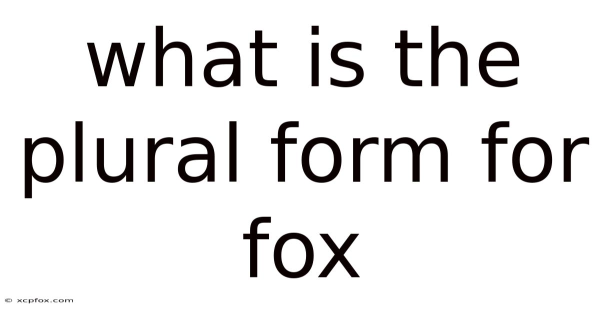 What Is The Plural Form For Fox